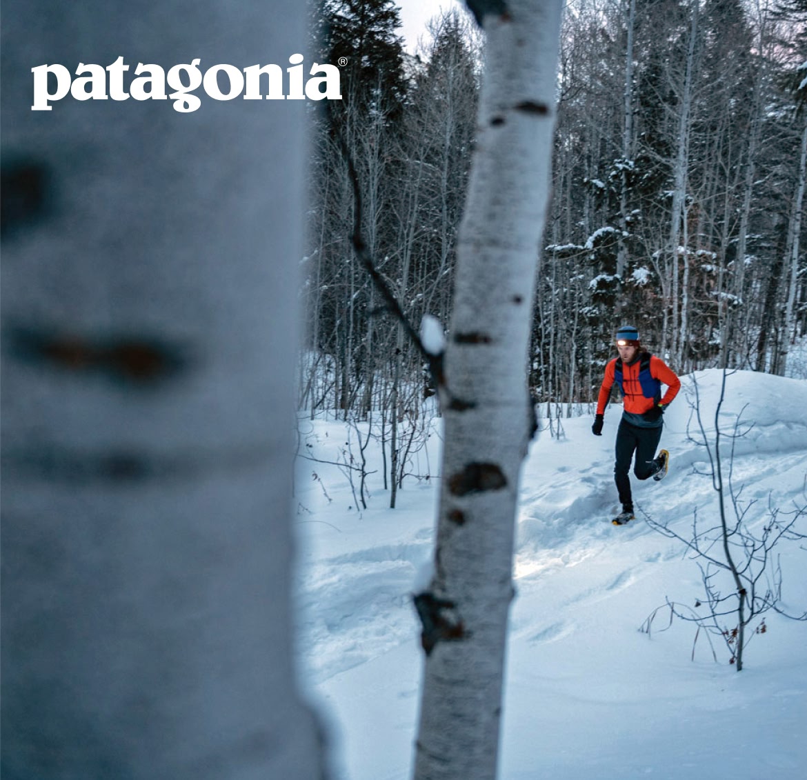 Patagonia. A trail runner in a snowy aspen forest.