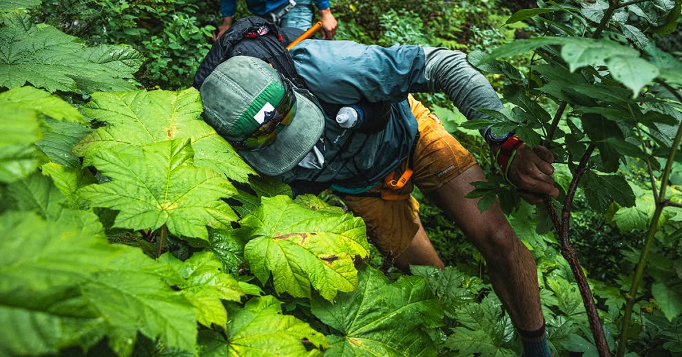 A trail runner bushwhacks through thick vegetation.
