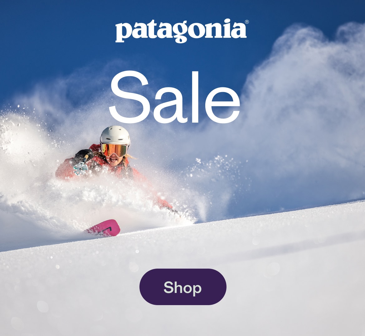 Patagonia. Sale