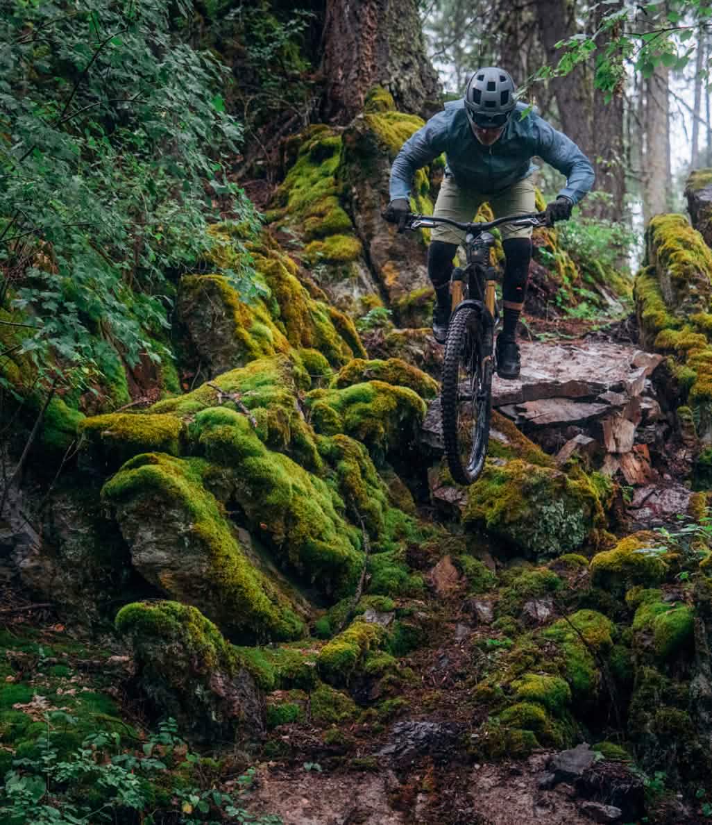 A person rides a mountain bike on a wet, narrow trail that cuts through a mossy rainforest.