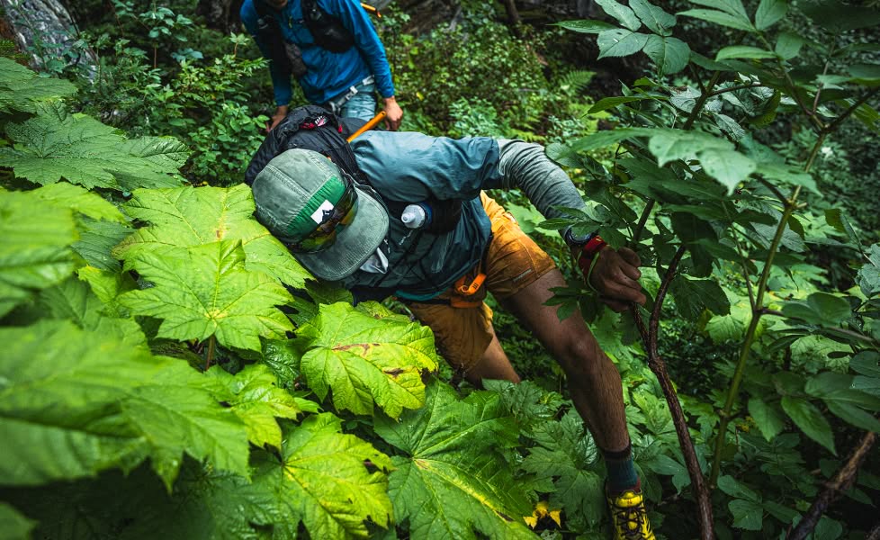 Two people bushwhack through dense vegetation.