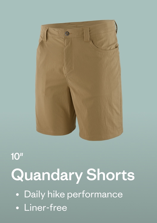 Quandary Shorts 
