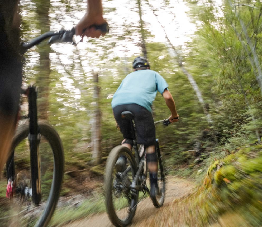 Mountain bikers riding through a forest.