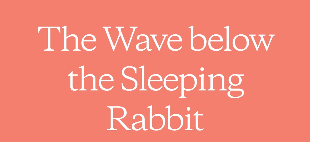 The Wave below the Sleeping Rabbit