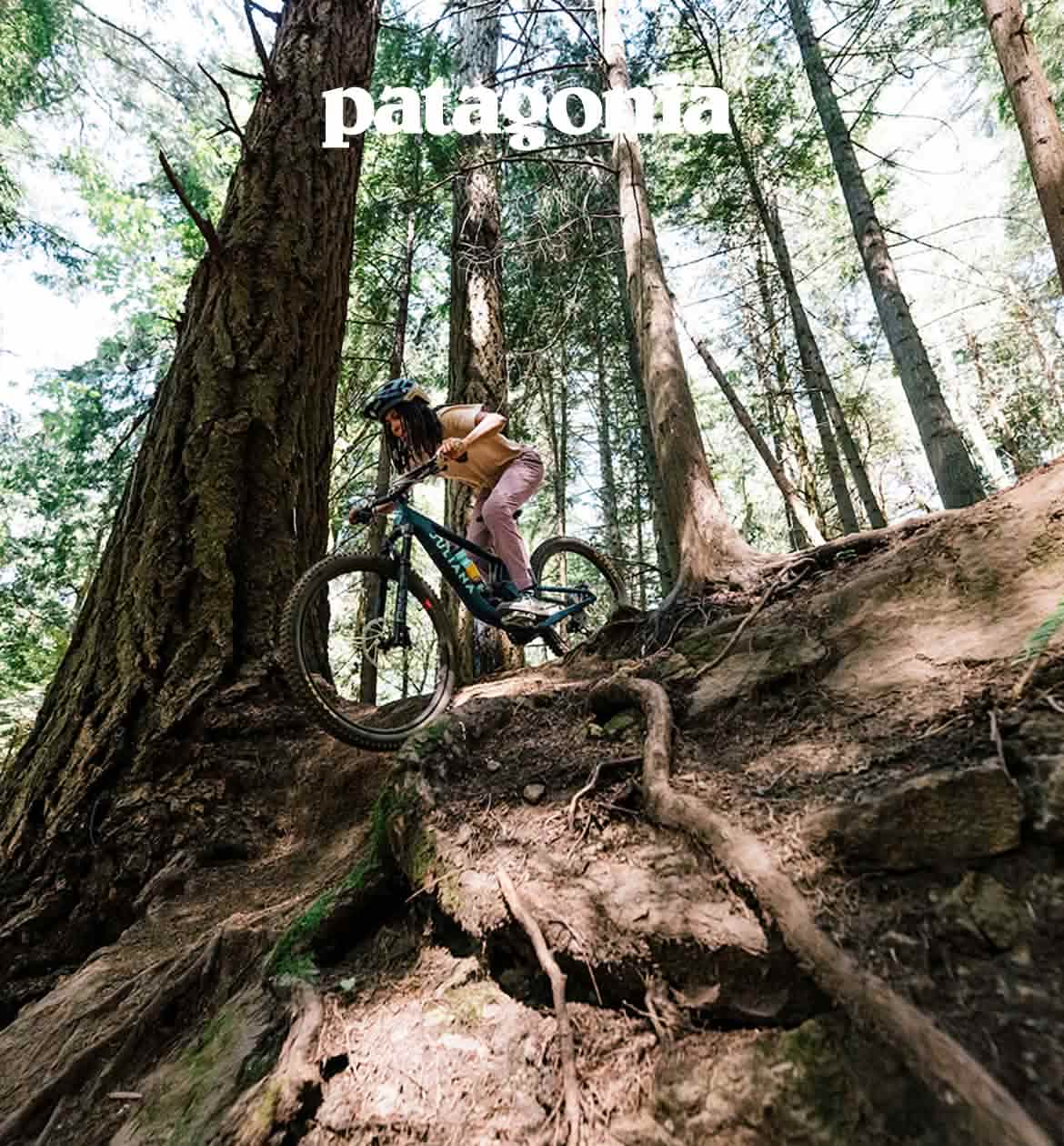 Patagonia. A person rides a mountain bike down a steep trail full of exposed roots.