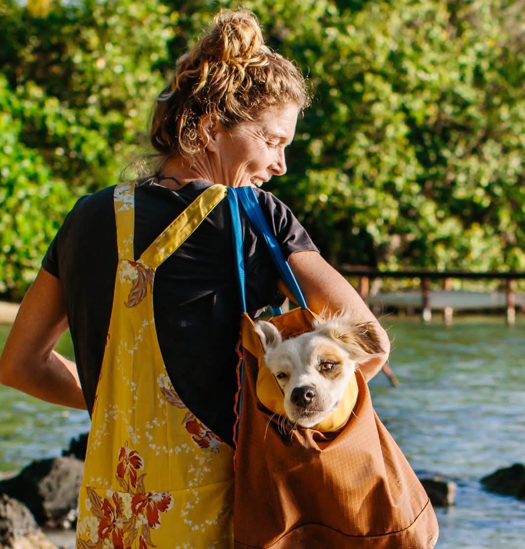 A person with a dog in a tote bag.