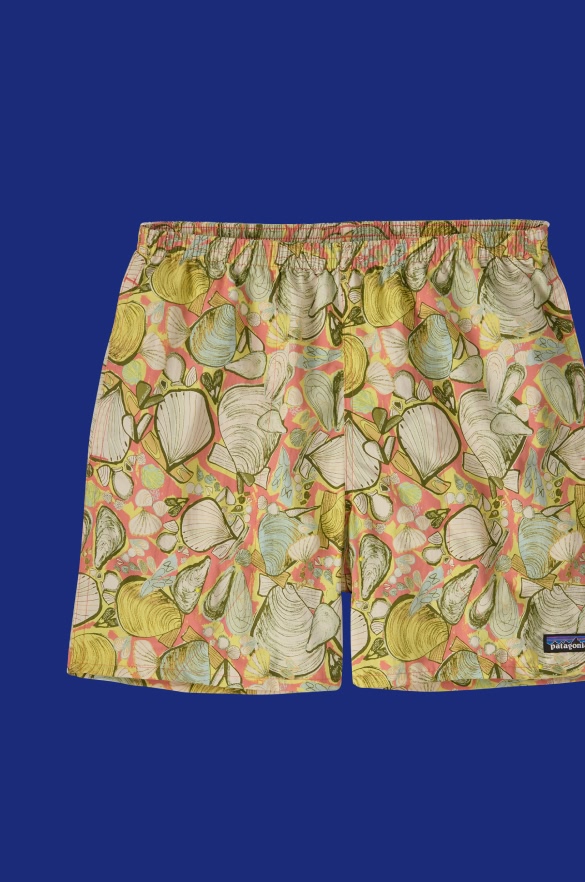 Men's Baggies™ Shorts - 5"