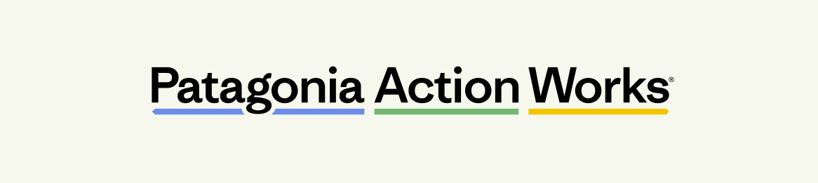 Patagonia Action Works