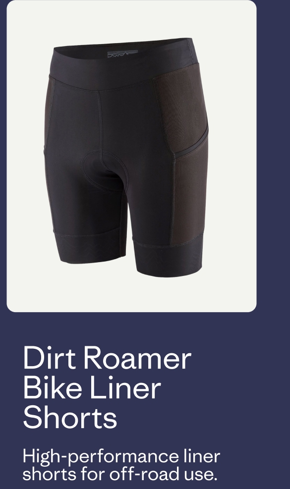 Dirt Roamer Bike Liner Shorts