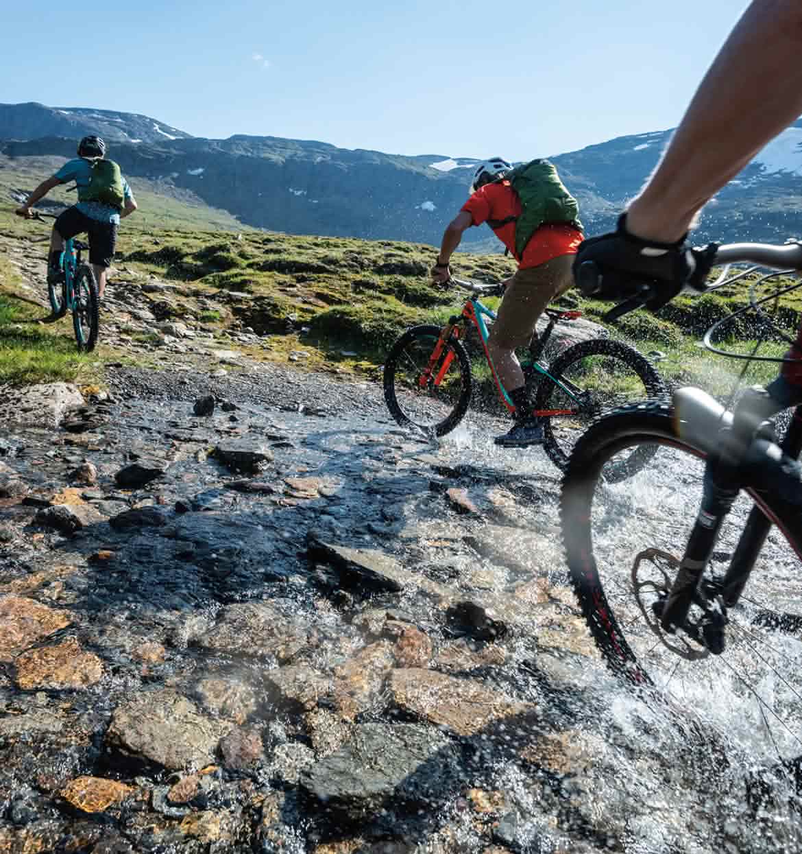 Three mountain bikers out for a ride.
