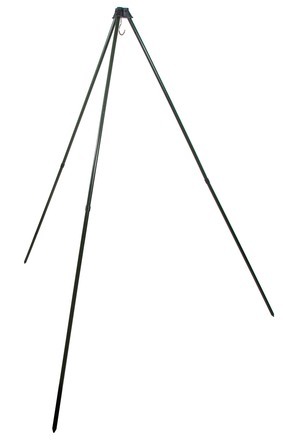 &nbsp;