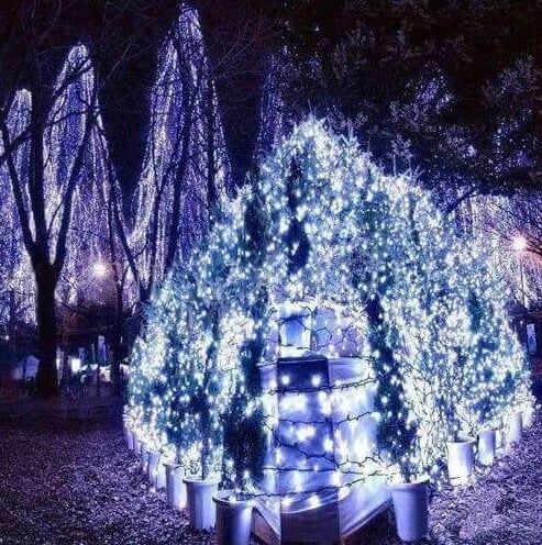 Fairy String Lights-10m