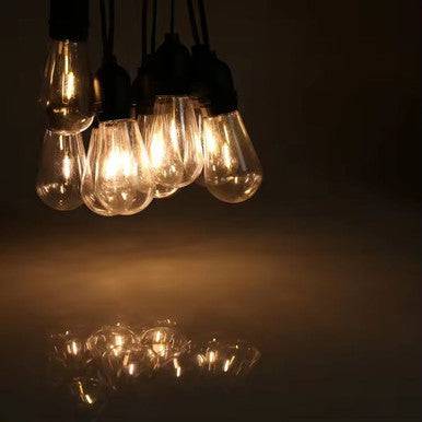 10-Piece LED Bulb String Lights