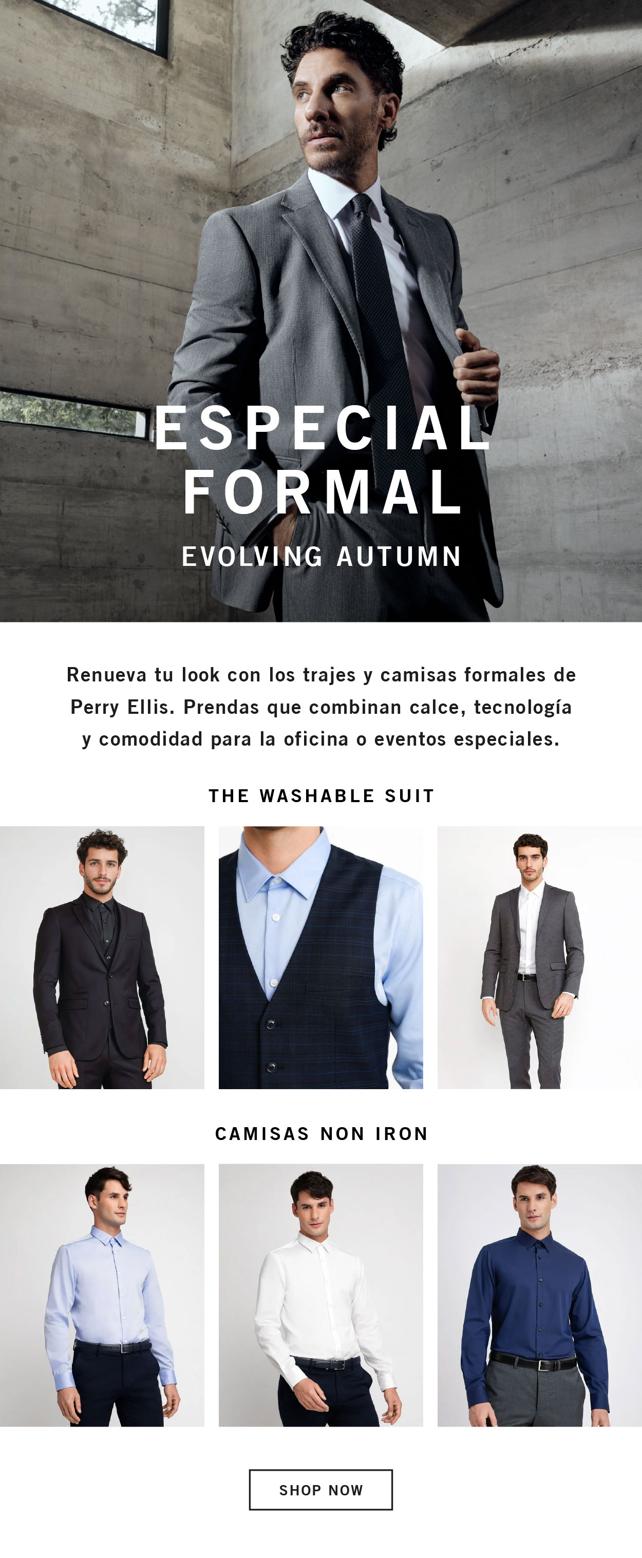 ESPECIAL FORMAL: Evolving Autumn