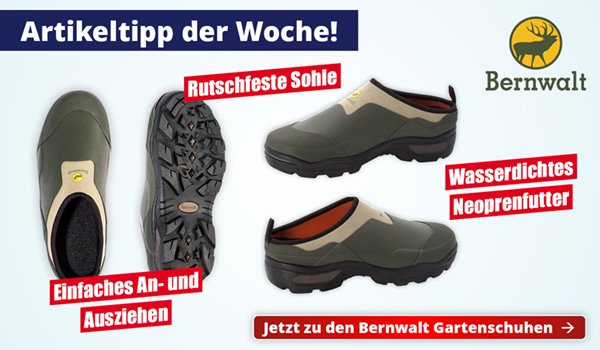 Unser Artikeltipp mit 30% Dankes-Rabatt!