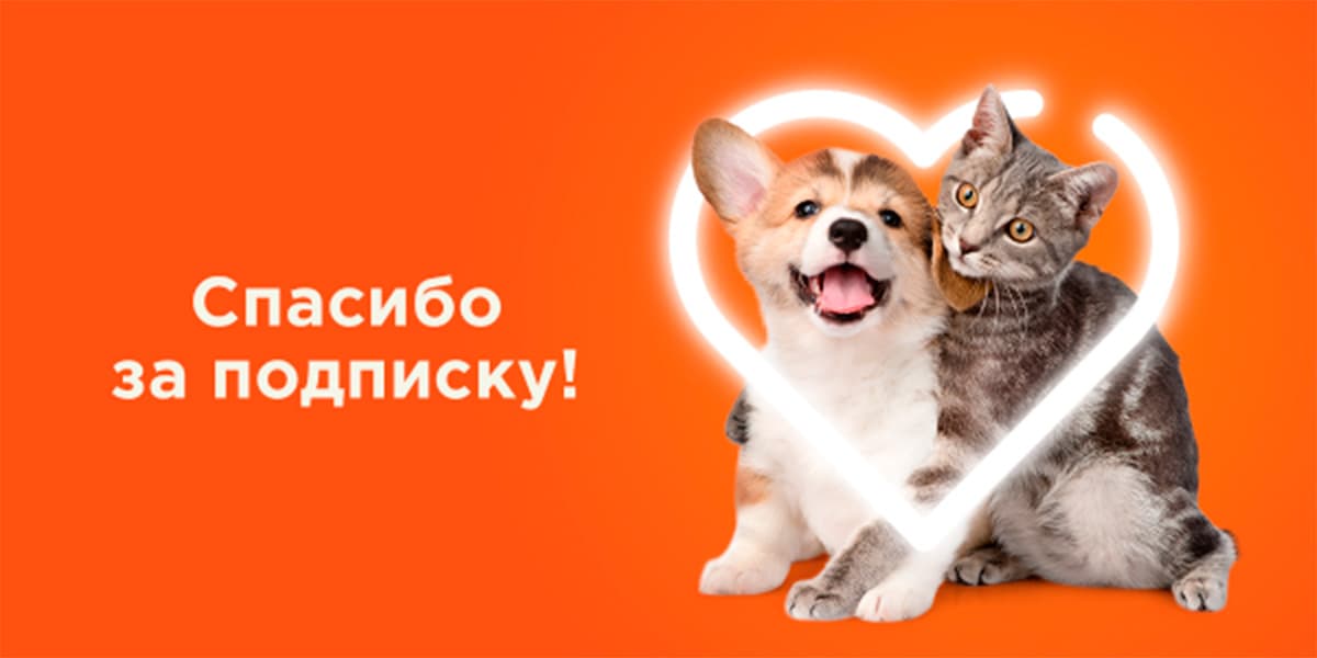 petshop.ru