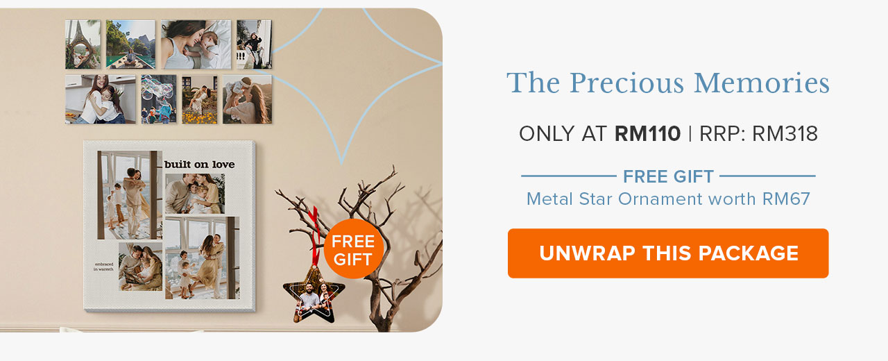 The Precious Memories