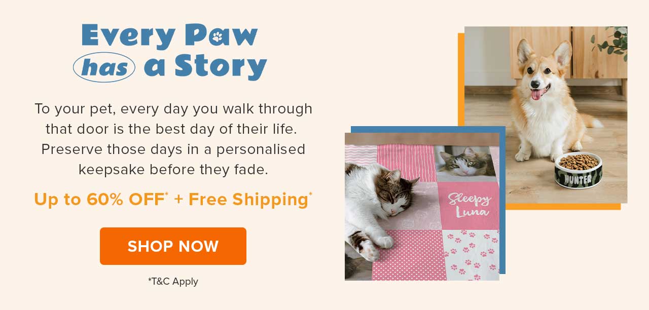 Every Paw has a Story | Shop for Pets Now