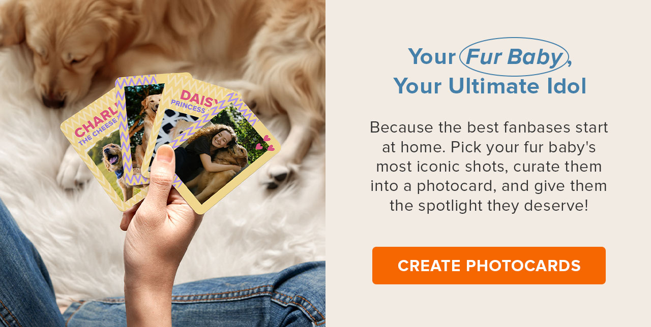 Your Fur Baby, Your Ultimate Idol | Create Their Own Photocards