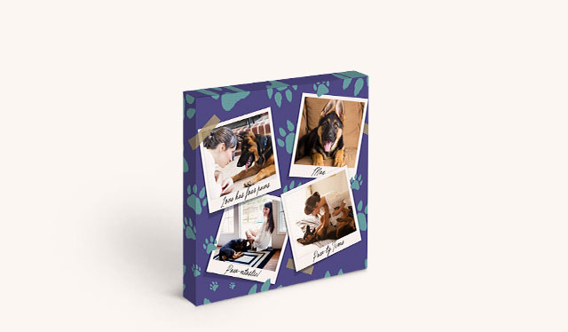 8 x8 Square Standard  Canvas Print