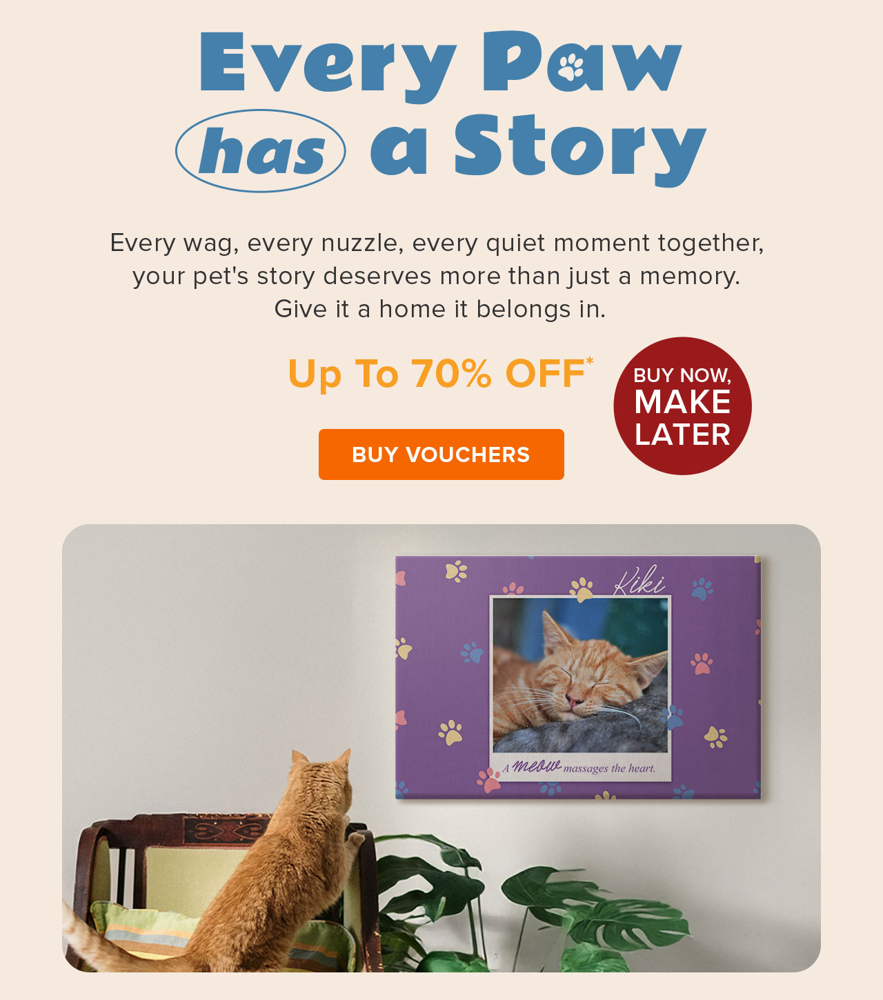 Every Paw has a Story | Up to 70% Off