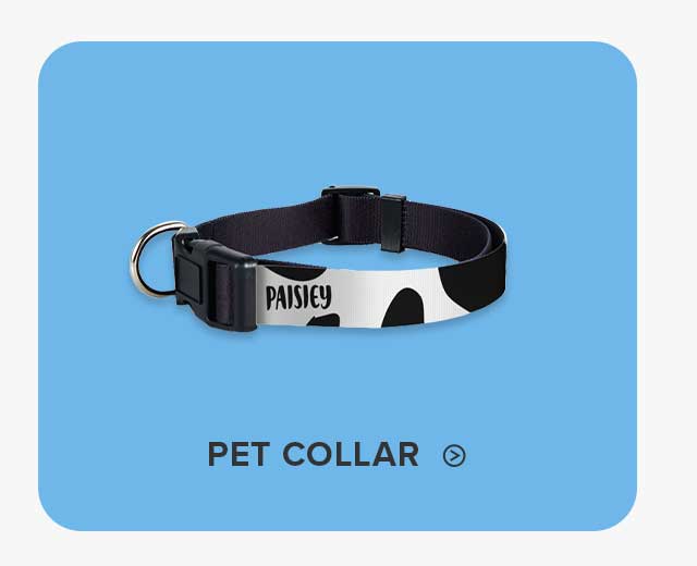 Pet Collar