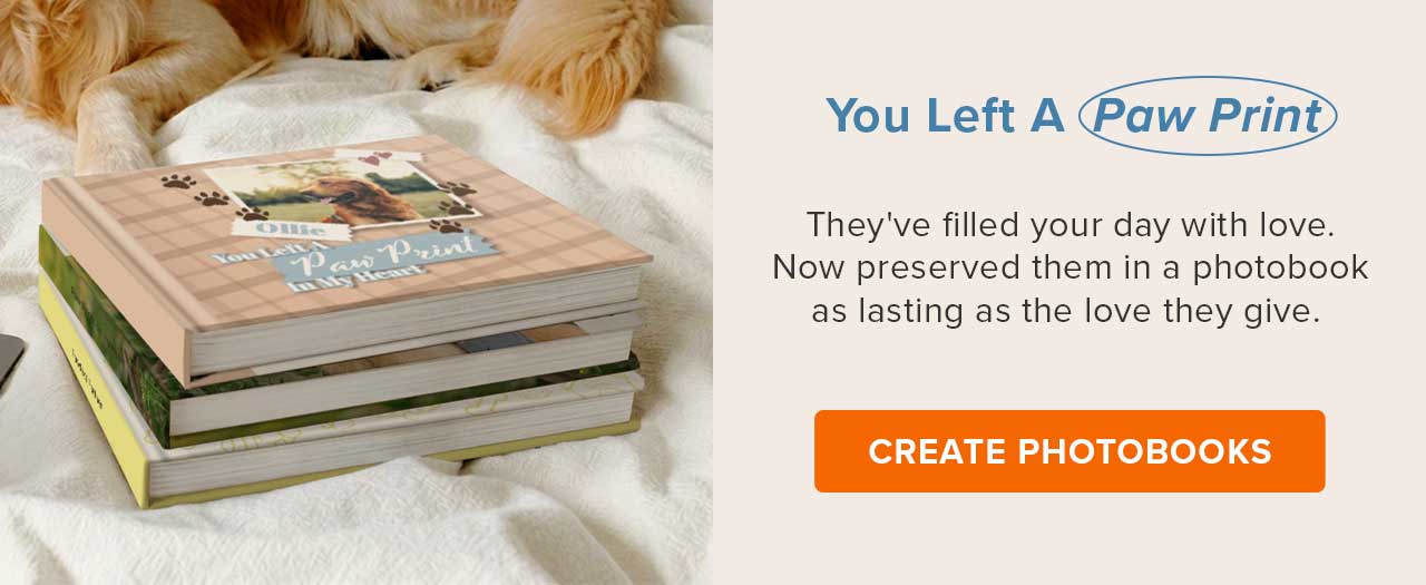 Pawfect Pet Book | Create Photobook