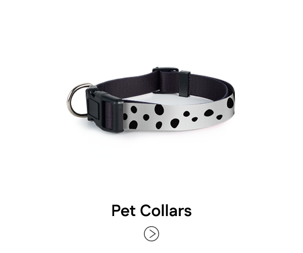 Pet Collars