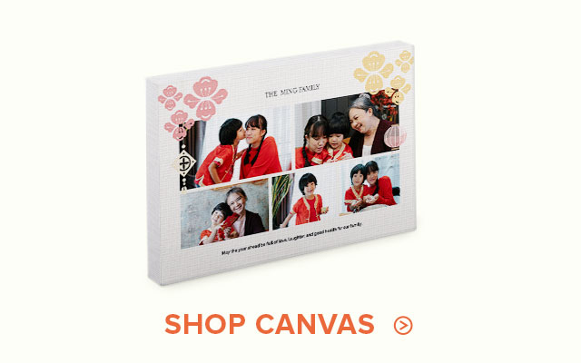 Shop Canvas