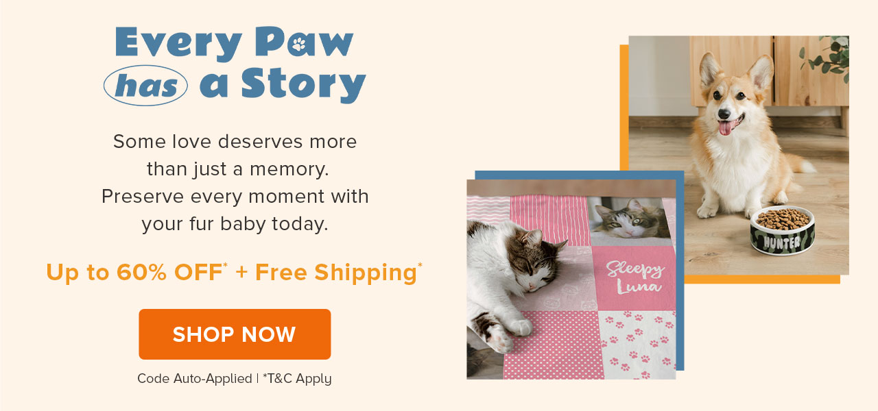 Every Paw has a Story