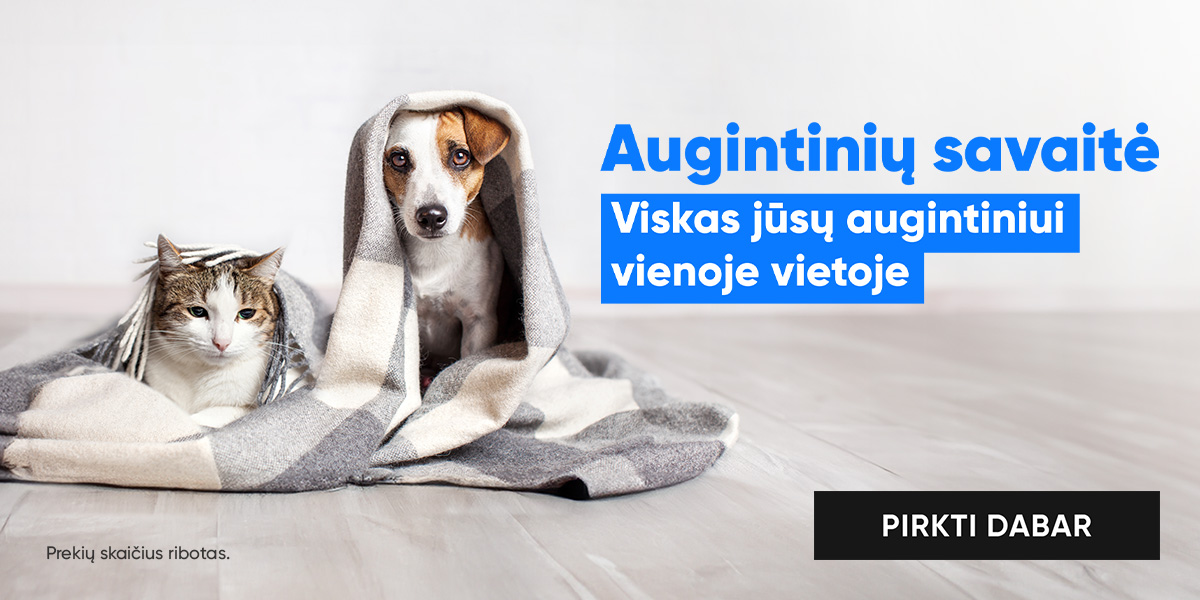 Palepink savo augintinį – prasideda Augintinių savaitė!