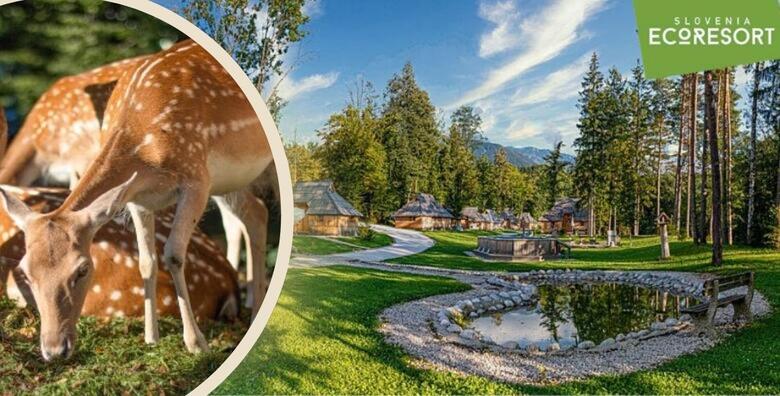 Slovenia Eco Resort - uživajte u bajkovitom okruženju Velike Planine u drvenoj kućici u stilu pastirskih koliba uz 1 ili više noćenja za do 5 osoba i korištenju saune