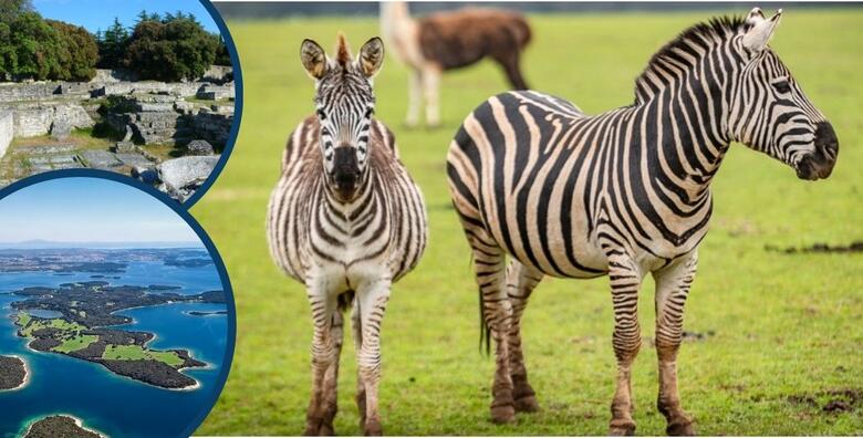 BRIJUNI, Hotel Neptun 3* - oduševite se prirodnom oazom otočja uz 2 noćenja s polupansionom za 2 odraslih + gratis paket za 1 dijete do 3,99 godina uz ulaznice za NP