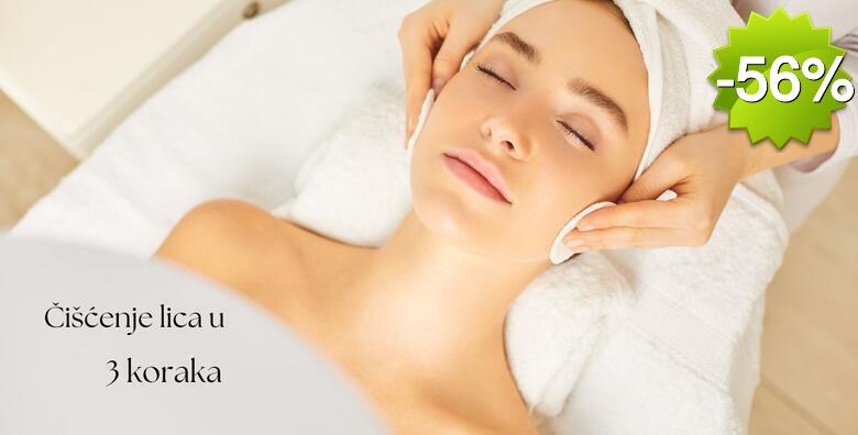Čišćenje lica u 3 koraka - mikrodermoabrazija, hladni čekić  i led maska u La Camilla Beauty Baru