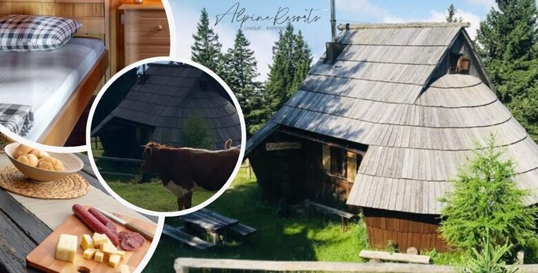 OBITELJSKI ODMOR NA VELIKOJ PLANINI - uživajte u čarobnoj prirodi uz 2 noćenja za 2 odrasle osobe i do 3 djece u vikendici po izboru u planinarskom domu Alpine Resorts