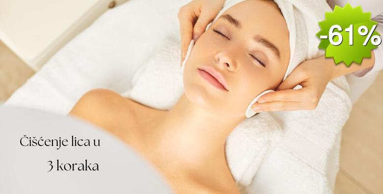 Čišćenje lica u 3 koraka - mikrodermoabrazija, hladni čekić  i led maska u La Camilla Beauty Baru