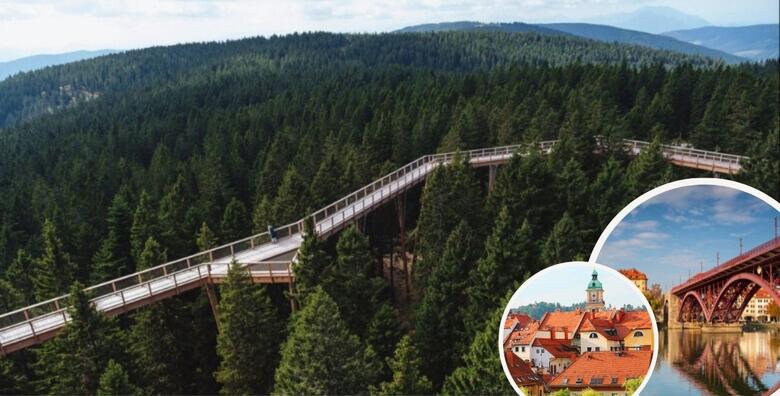 ŠETNJA MEĐU KROŠNJAMA - doživite prirodu Pohorja koja oduzima dah i upoznajte ljepote Maribora uz cjelodnevni izlet s prijevozom za jednu osobu