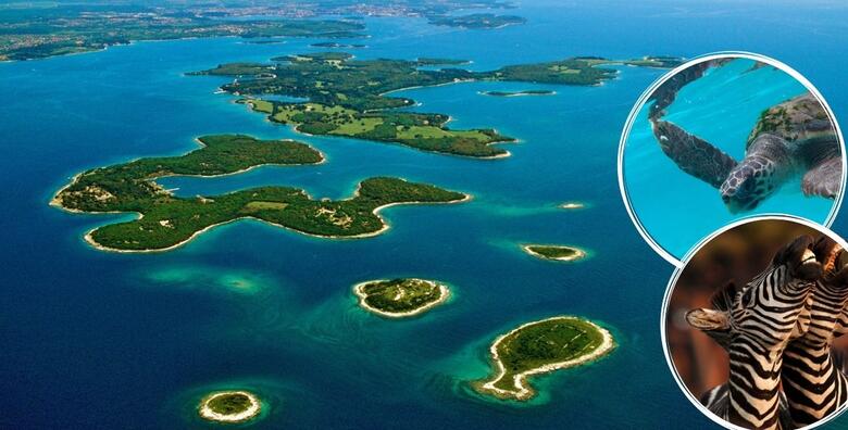 Pula i NP Brijuni - upoznajte Pulu, grad sa bogatom poviješću na  svakom koraku te dopustite netaknutoj prirodi NP Brijuni da Vas očara