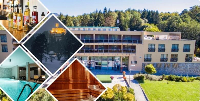 Zima u Hotelu Trakošćan 4* - 1 ili 2 noćenja s polupansionom za 2 osobe ili 2 odraslih i 2 djece do 11,99 godina uz korištenje bazena, unutarnje i vanjske finske saune