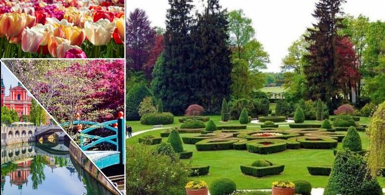 Upustite se u raskošnu avanturu arborteuma VOLČJI POTOK, uživajte u izložbi šarenih tulipana te posjetite šarmantnu LJUBLJANU