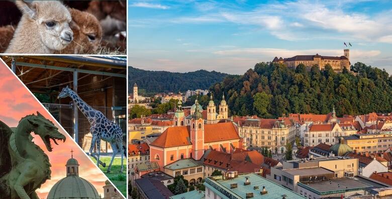 LJUBLJANA I ZOO - posjetite Ljubljanski ZOO sa preko 40 različitih životinja te razgledajte znamenitosti Ljubljane
