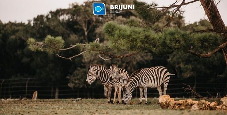 BIJEG NA BRIJUNE, Hotel Istra 3* - otkrijte svijet flore i faune uz 2 noći s polupansionom za 2 osobe + gratis paket za 1 dijete do 3,99 godina i ulaznice za NP