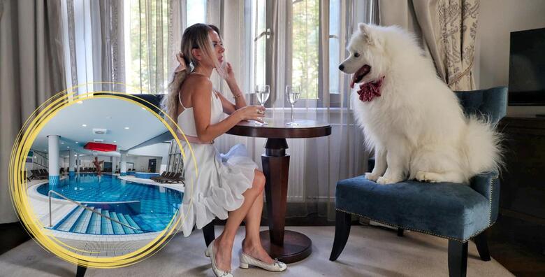 Odmor s kućnim ljubimcem - 2 noćenja s polupansionom za 2 osobe i 1 kućnog ljubimca u Grand Hotelu Sava Superior 4*, Rogaška Slatina, uz wellness
