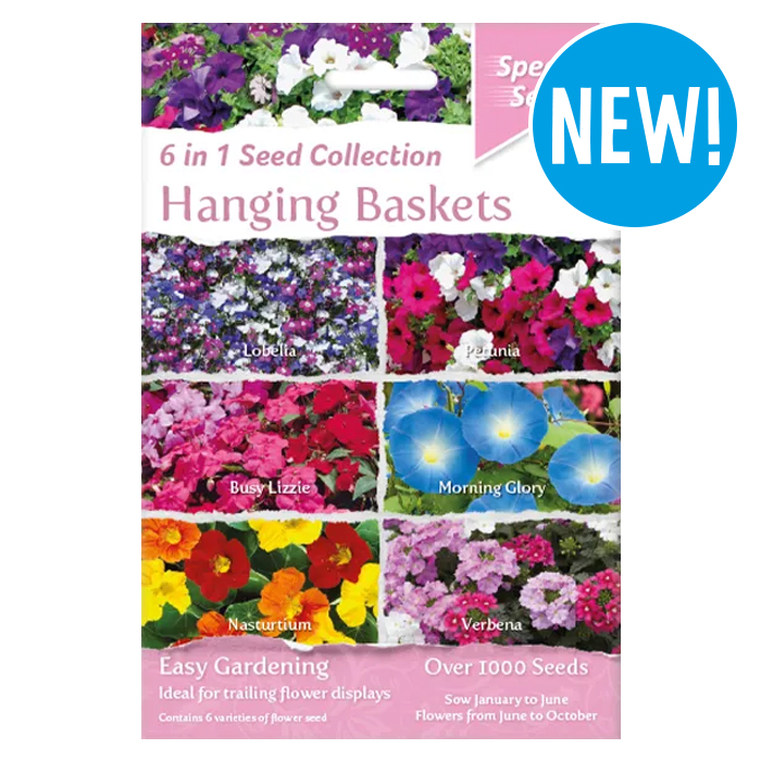 Hanging Baskets 6 in 1 Speedy Seed Collection