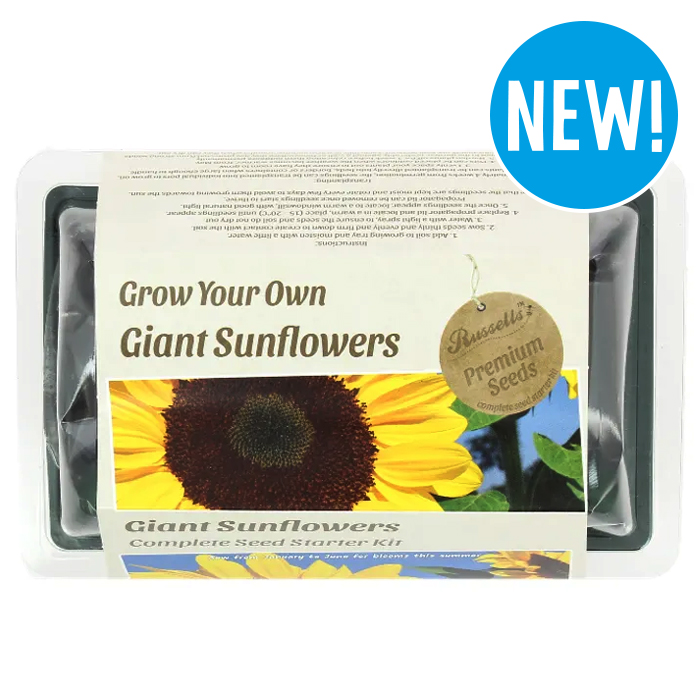 Russells Grow Your Own Seed Starter Kit - Giant Sunflowers