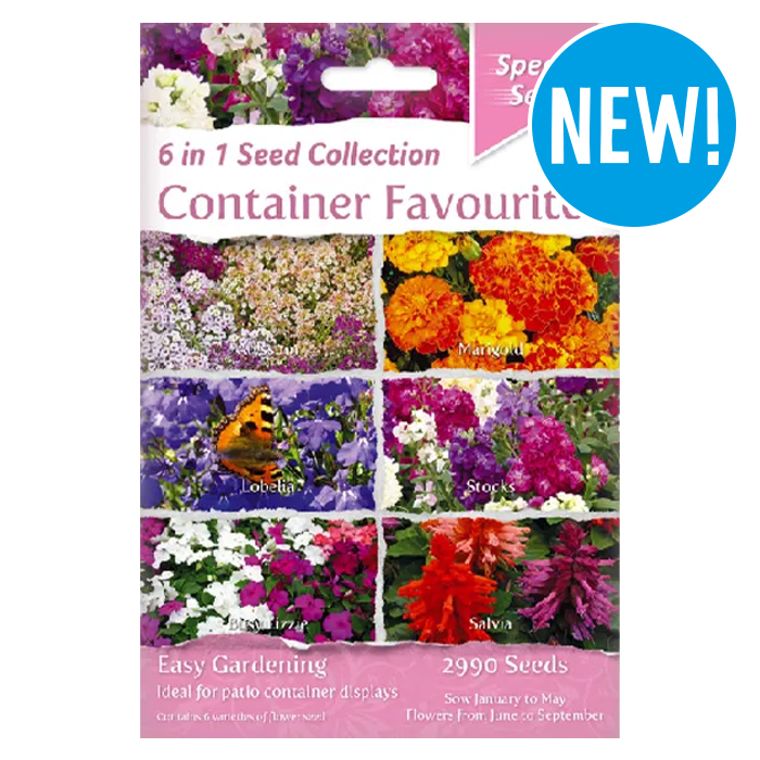 Container Favourites 6 in 1 Speedy Seed Collection