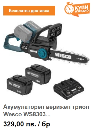 Акумулаторен верижен трион Wesco WS8303 / 30см / 2х18V