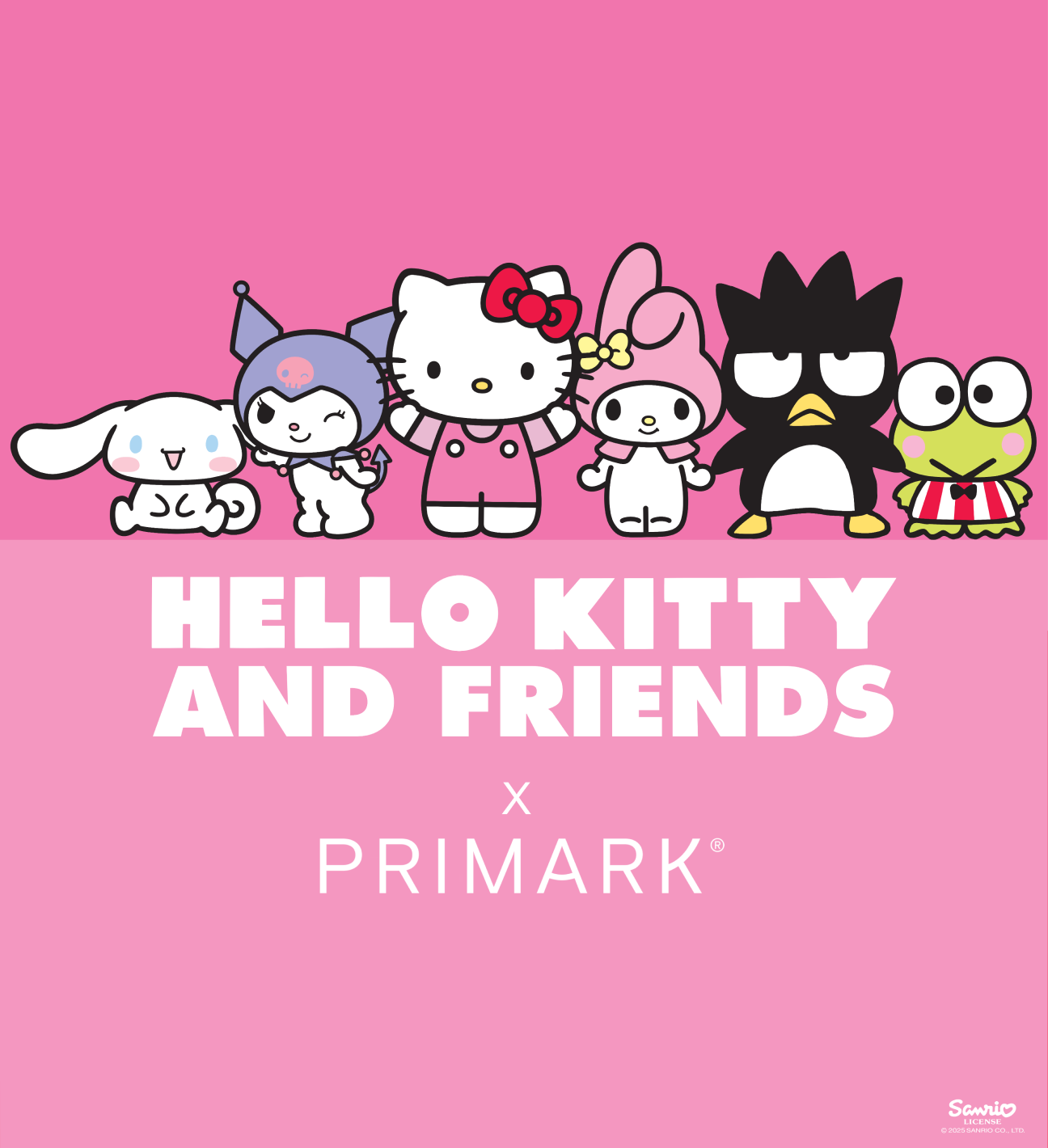 A illustration of Hello Kitty and Friends 