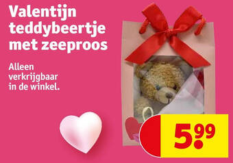 Valentijn teddybeertje met zeeproos