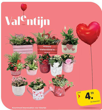 Assortiment bloemstukken voor Valentijn REF. :7331187